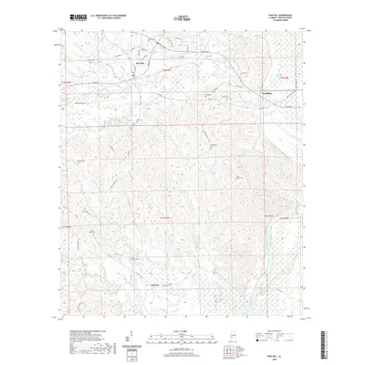 2020 Map of Pine Hill, 2020 Print