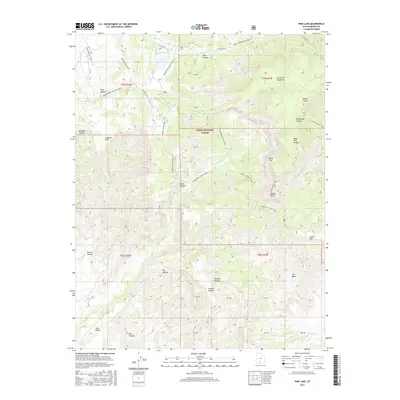 2017 Map of Pine Lake, 2017 Print