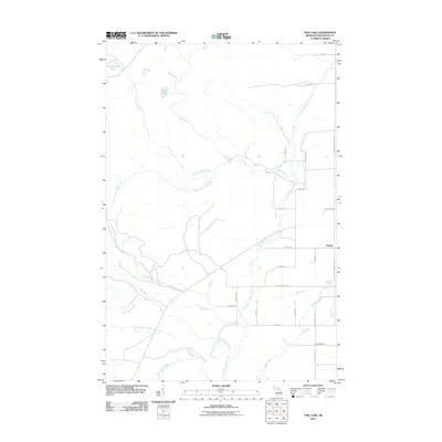 2011 Map of Pine Lake, 2011 Print