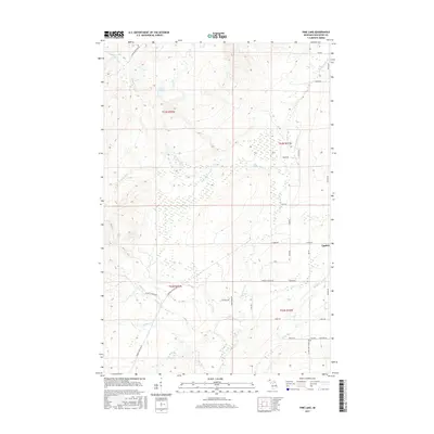 2017 Map of Pine Lake, 2017 Print
