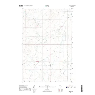 2019 Map of Pine Lake, 2019 Print