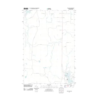2011 Map of Pine Lake, 2011 Print