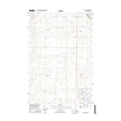 2015 Map of Pine Lake, 2015 Print