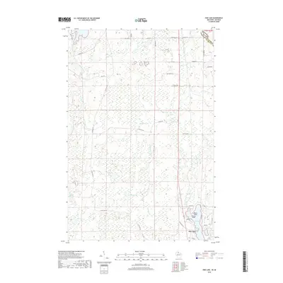 2018 Map of Pine Lake, 2018 Print
