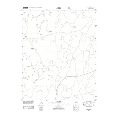 2011 Map of Pine Lake, 2011 Print
