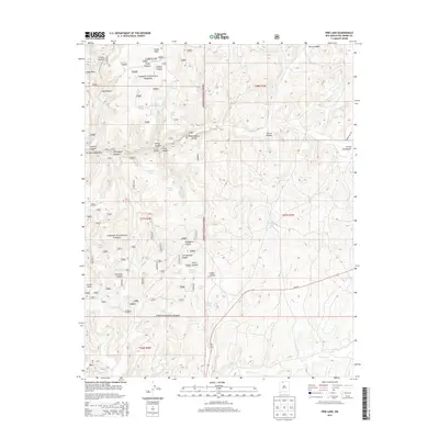 2013 Map of Pine Lake, 2013 Print