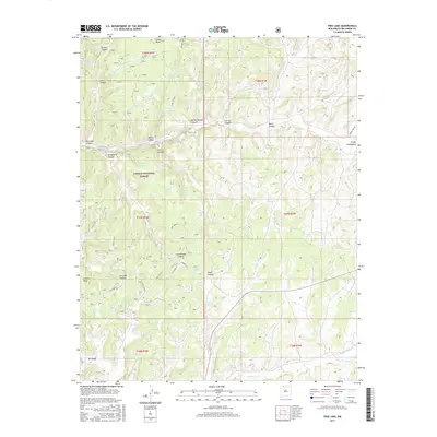 2017 Map of Pine Lake, 2017 Print