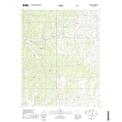 2020 Map of Pine Lake, 2020 Print