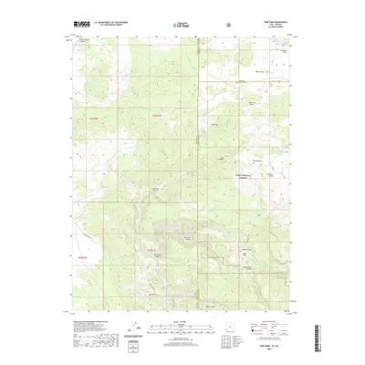2020 Map of Pine Park, 2020 Print