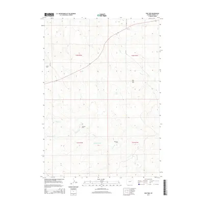 2015 Map of Pine Tree, 2015 Print