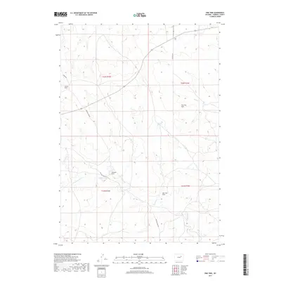 2017 Map of Pine Tree, 2017 Print