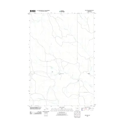 2011 Map of Pine View, 2011 Print