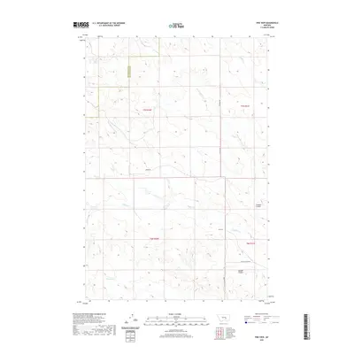 2020 Map of Pine View, 2020 Print