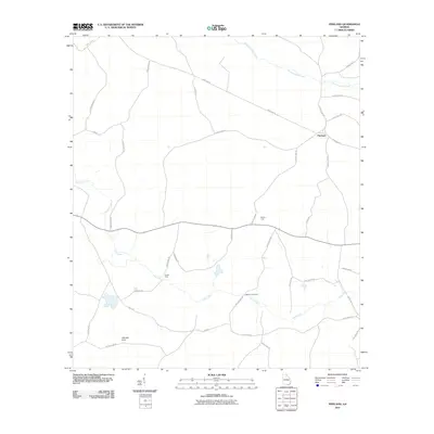 2011 Map of Pineland, 2011 Print