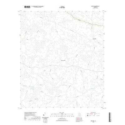 2020 Map of Pineland, 2020 Print