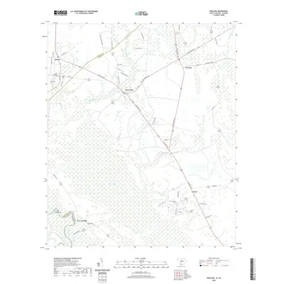 2020 Map of Pineland, 2020 Print