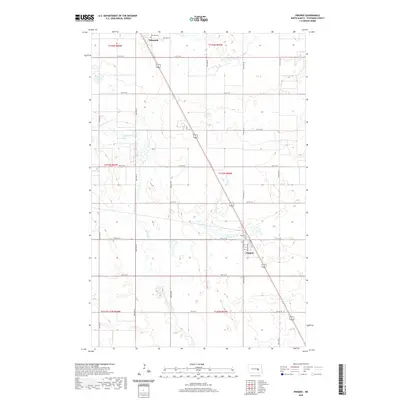 2020 Map of Pingree, 2020 Print