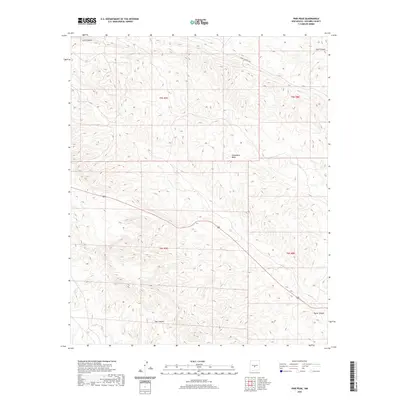 2020 Map of Pink Peak, 2020 Print