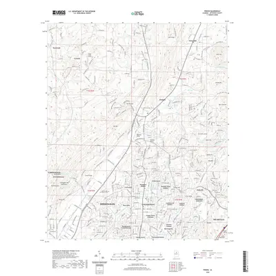 2020 Map of Pinson, 2020 Print