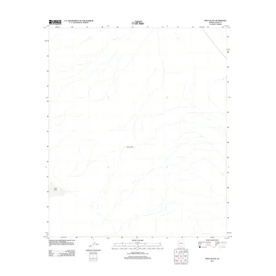 2011 Map of Pinta Playa, 2011 Print