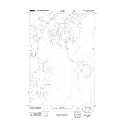 2011 Map of Piquett Creek, 2011 Print