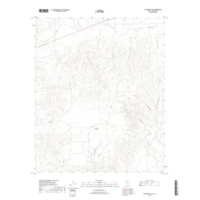 2019 Map of Pitchfork Flats, 2019 Print