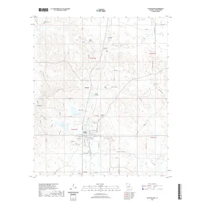 2020 Map of Plain Dealing, 2020 Print