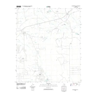 2010 Map of Plantersville, 2010 Print