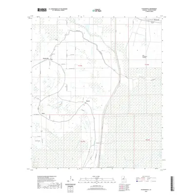 2020 Map of Plaucheville, 2020 Print