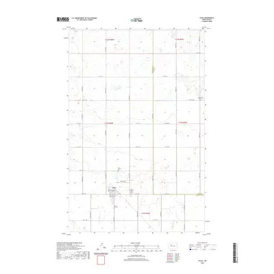 2020 Map of Plaza, 2020 Print