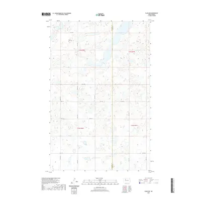 2020 Map of Plaza NW, 2020 Print