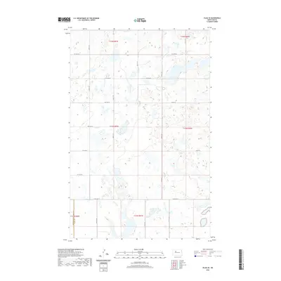 2020 Map of Plaza SE, 2020 Print