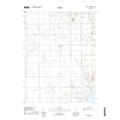 2018 Map of Pleasant Mound, 2018 Print