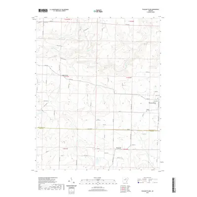 2020 Map of Pleasant Plains, 2020 Print