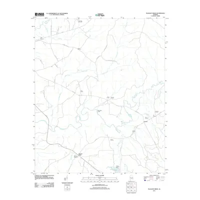 2011 Map of Pleasant Ridge, 2011 Print