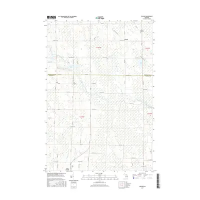 2017 Map of Polaski, 2017 Print