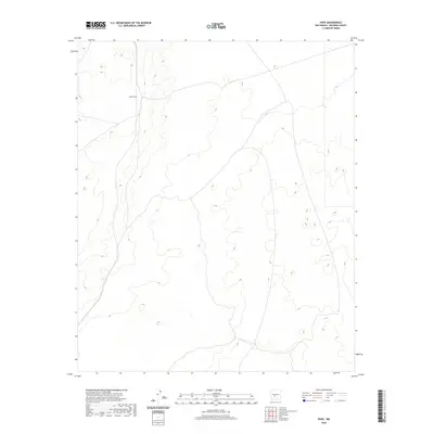 2020 Map of Pope, 2020 Print