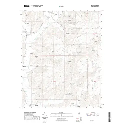 2020 Map of Princeton, 2020 Print