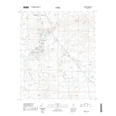2020 Map of Puckett NW, 2020 Print