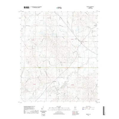 2020 Map of Puckett, 2020 Print