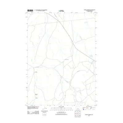 2012 Map of Puddle Springs, 2012 Print