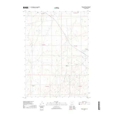 2017 Map of Puddle Springs, 2017 Print