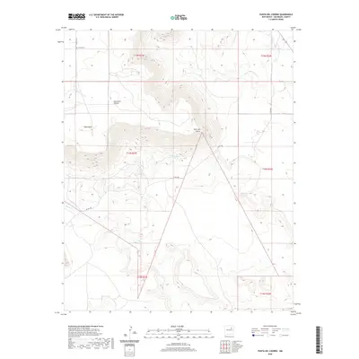 2020 Map of Punta Del Chorro, 2020 Print