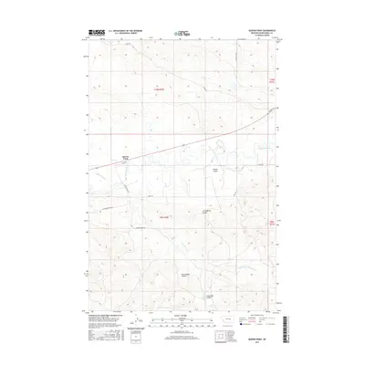 2017 Map of Queens Point, 2017 Print