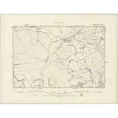 1887 Map of Radnorshire VIII.SE, 1888 Print