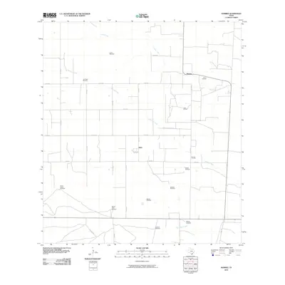 2010 Map of Ramirez, 2010 Print