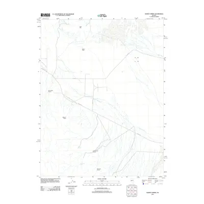 2011 Map of Ramsey Spring, 2011 Print