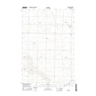 2017 Map of Rapelje, 2017 Print