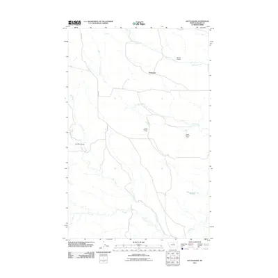 2011 Map of Rattlesnake, 2011 Print