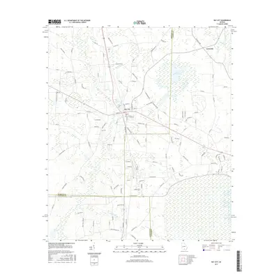 2017 Map of Ray City, 2017 Print